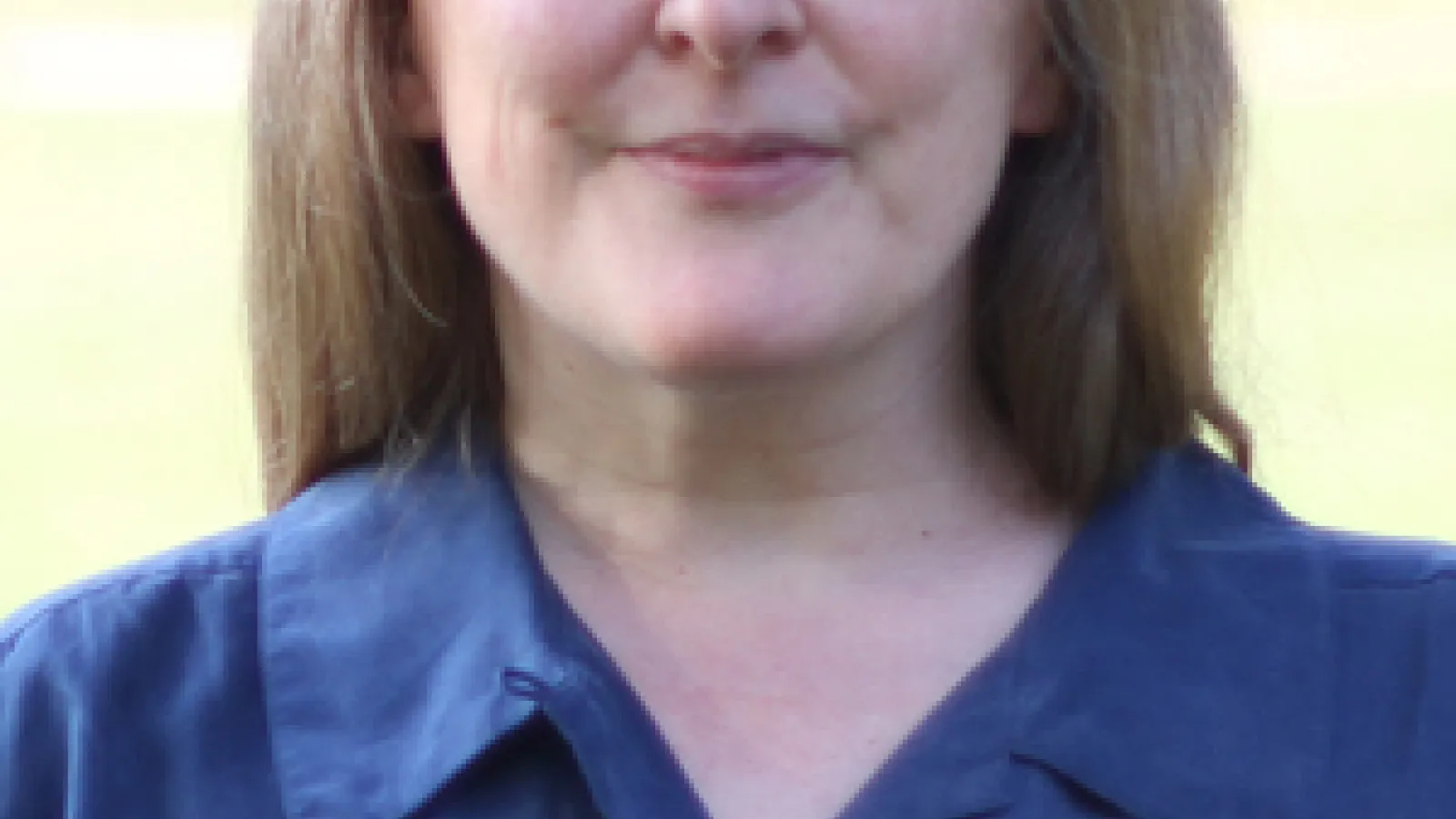 Headshot of Noyes